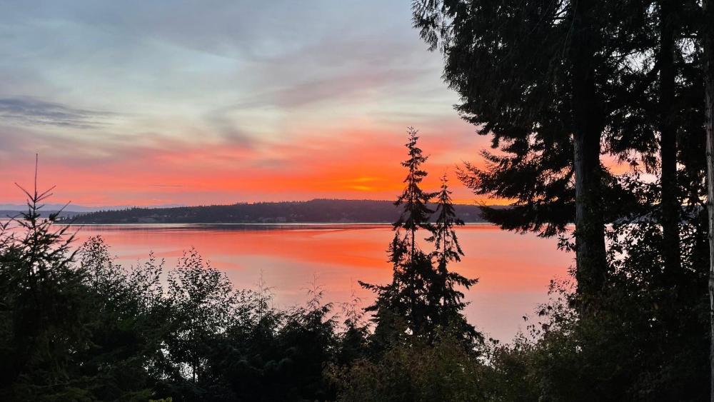 Serenity Pines by AvantStay Incredible Views